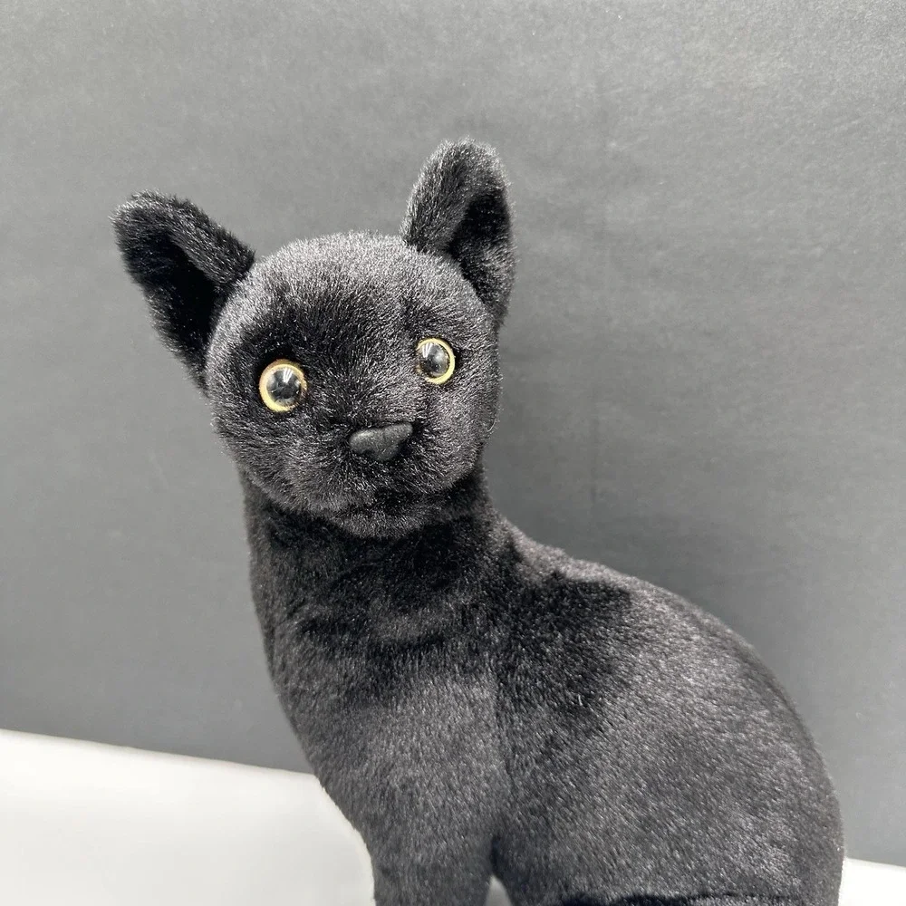 Boone Black Cat 14